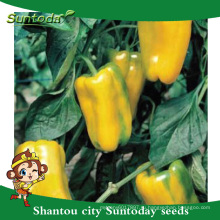 Suntoday овощей F1 органические желтый колокол сладкий маринованный перец халапеньо хабанеро перец семена овощей сингента(21019)